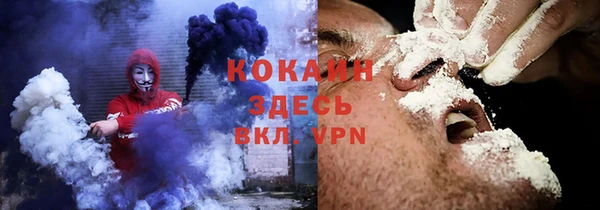 прущие грибы Алексин