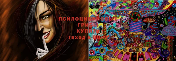 прущие грибы Алексин
