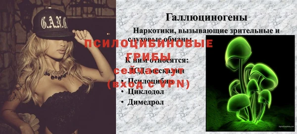 прущие грибы Алексин