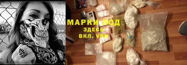 гидра Алексеевка